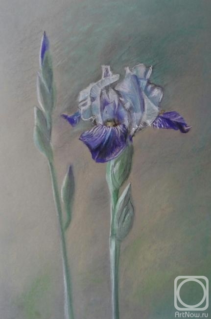 �������. ������ �����. �����