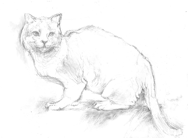 Рисунки наброски животных