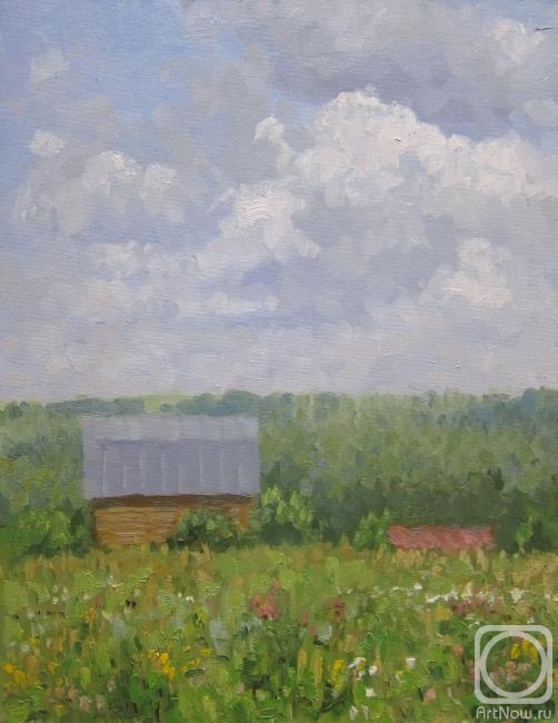 Chertov Sergey. Cloudy summer day in the country (etude)