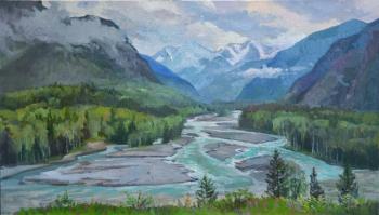 In the valley of mountain rivers.Altay