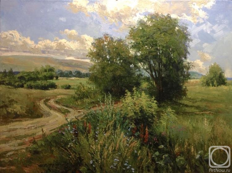 Chelyaev Vadim. Road in a field