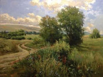 Road in a field. Chelyaev Vadim