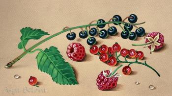 Cherry, raspberry and red currant. Belova Asya