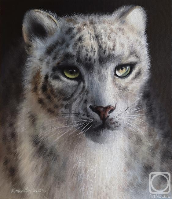 ������� ������ �� ������. �������� ��������. �����