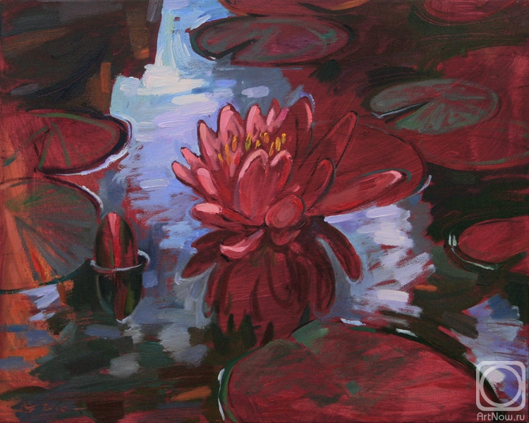 Goda Laima. Red waterlily. August