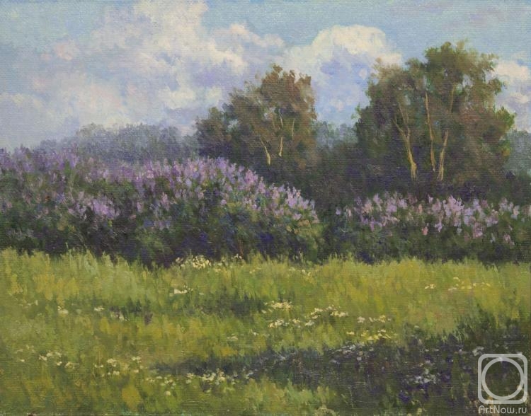 Bravkov Vladimir. Lilacs in the park. Evening