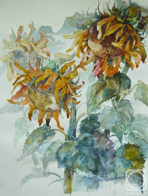 �������. ����������� ������. ����������