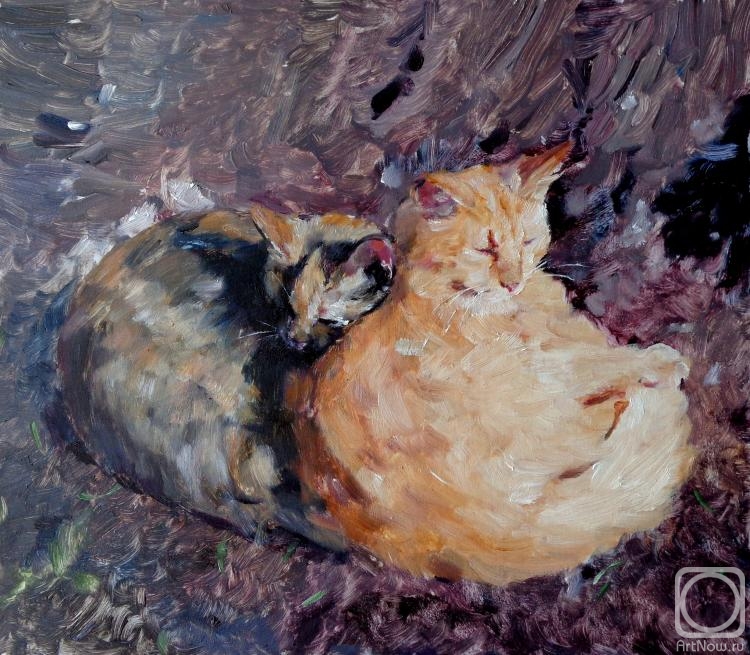 �������. �������� �������. �� ����� �������� �����