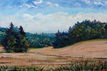 ������� ����� 19.07 (������ �����)�