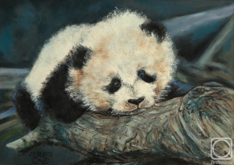 �������. �������� �����. �����