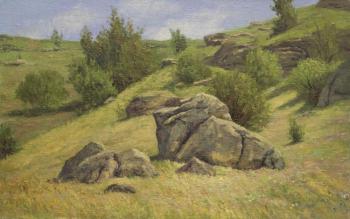 Stones on the slope. Bravkov Vladimir