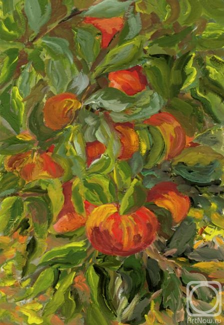 Osipova Valentina. Untitled