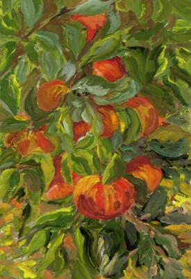 ��������� �����. ������� ���������