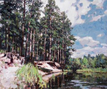 Forest Lake. Taranov Viacheslav