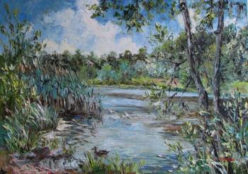 Reeds at the pond (Sea Ducks). Kruglova Svetlana