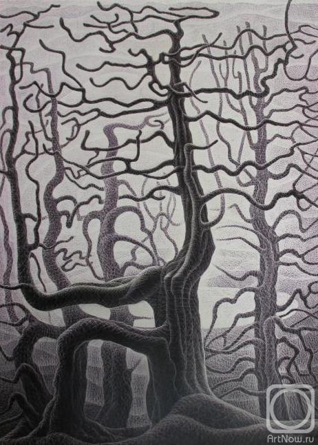 �������. ����� ����. �������� �����