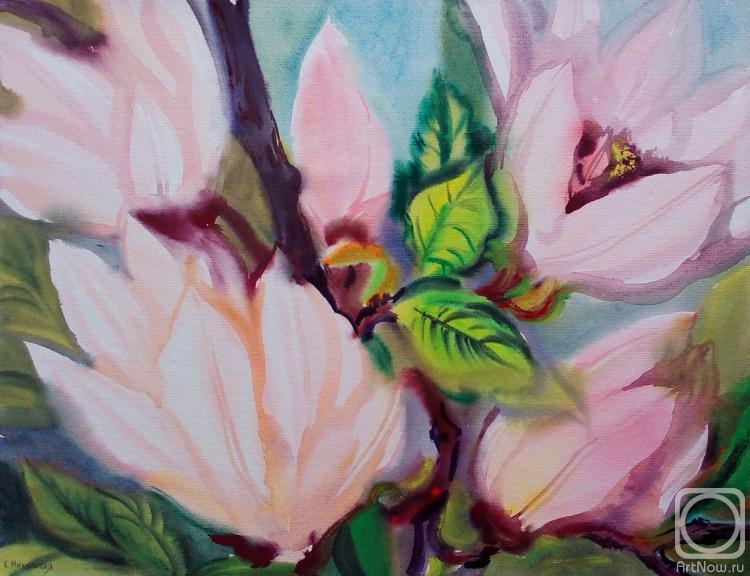 �������. ���������� ���������. ��������