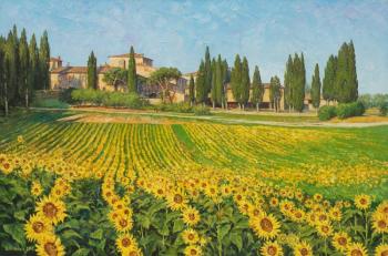Sunflowers. Tuscany. Zhaldak Edward