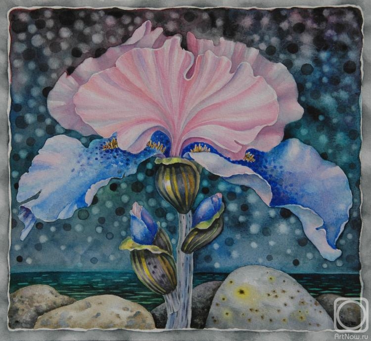 Rybakova Ekaterina. Iris. A series "Flowers by the sea"