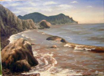 Morning in the Fox Bay. Surakin Alexandr