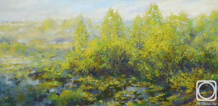 ������� ������ �� ������. ������ �����. �������� ����