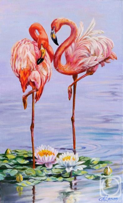Samarskaya Helena. Date Flamingos