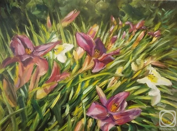 ������� ������ �� ������. ������� ������. �������� 2