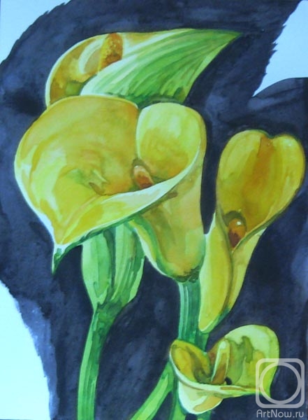 �������. ������� ������. Ƹ����