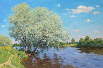 Morning on river in summer. Alexandrovsky Alexander