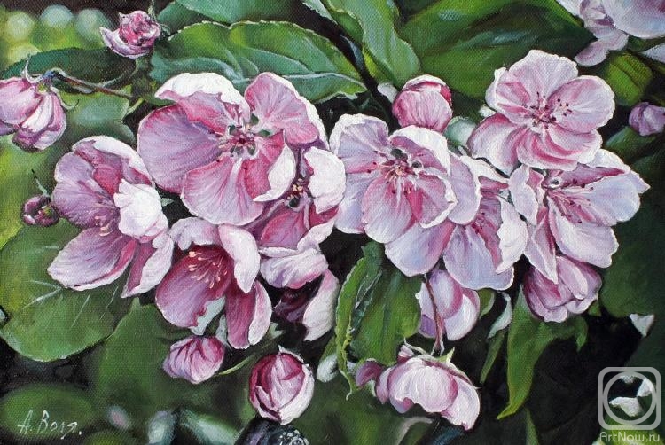 ������� ������ �� ������. ���� ���������. ������ ��������