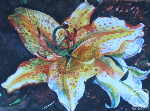 �������. ������� ������. ������