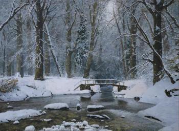 Stream in the forest