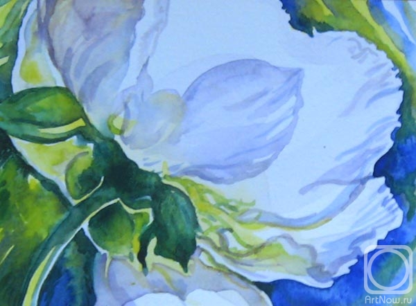 Rakutov Sergey. White Rose