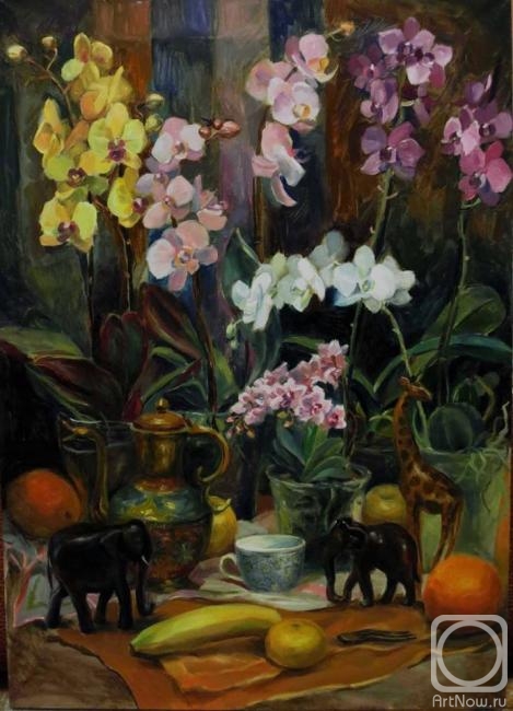 Milogradova Elizaveta. Orchids