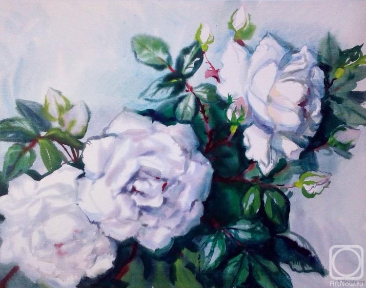 �������. ���������� ���������. � ���� ����� �����