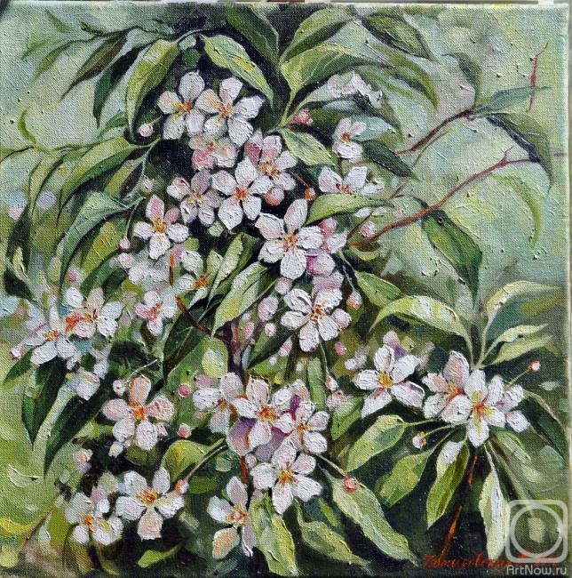 Komarovskaya Yelena. Blooming Apple tree