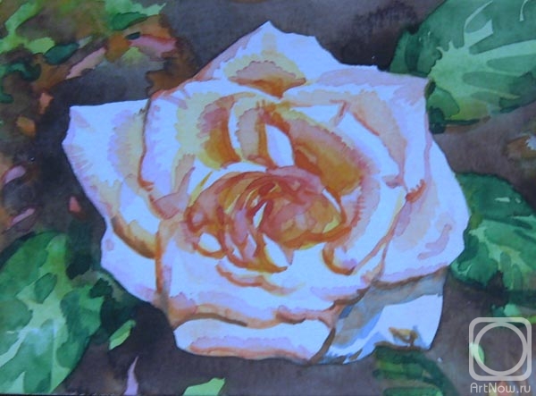 Rakutov Sergey. Rose