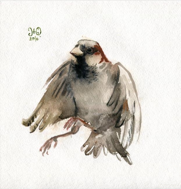 �������. ��������� ����. �� ������� �� �����������