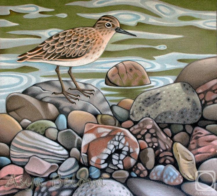 Belova Asya. Kulik and pebbles