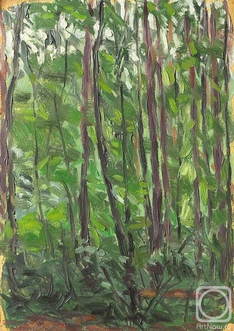 �������. ������ ����. ���� ����������-��������� (����)