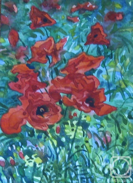 Rakutov Sergey. Poppies