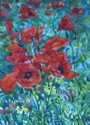 Poppies