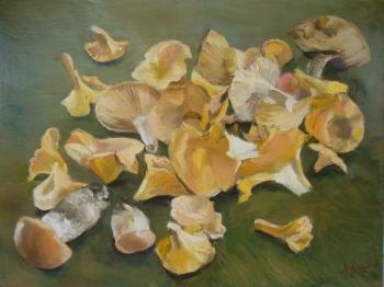 ������� ��������