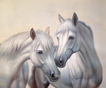 Horses. Bruno Tina