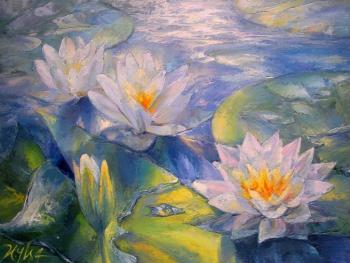 Water lilies. Chebotareva Irina