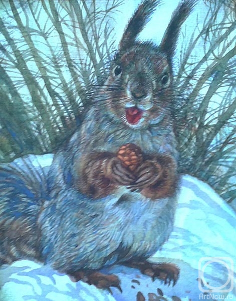 Rakutov Sergey. Squirrel