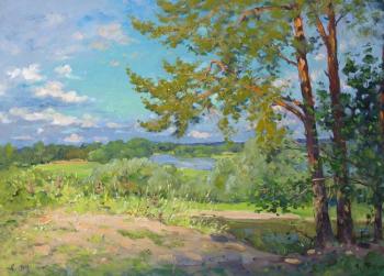 Pines on summer day. Alexandrovsky Alexander