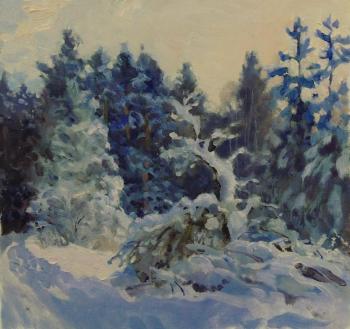 The winter. Kushevsky Yury