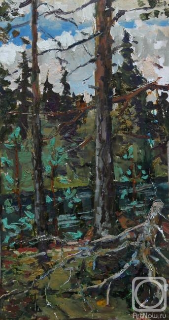 Polyakov Arkady. In the forests of Karelia