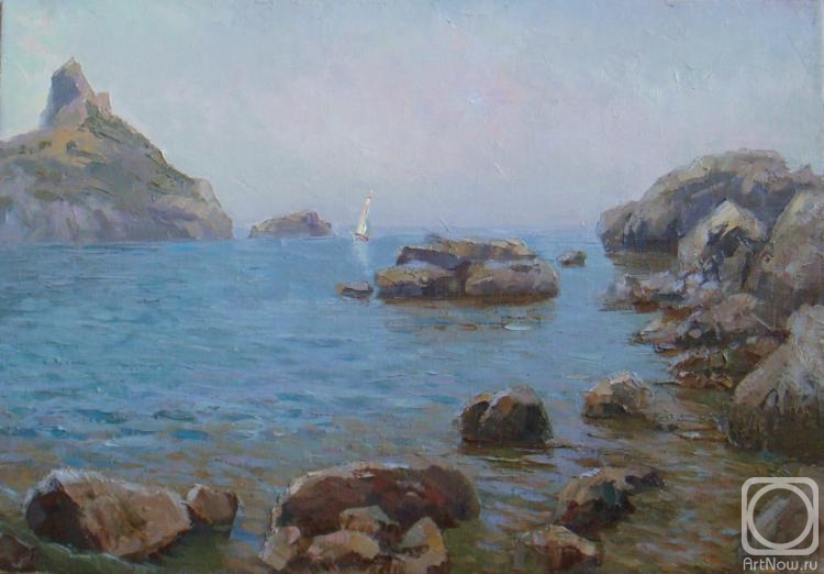 Plotnikov Alexander. Royal beach. Stones